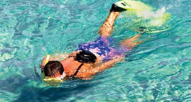 Caesar Blue snorkling